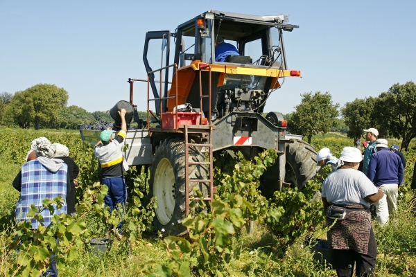 Emploi saisonnier Emploi saisonnier
